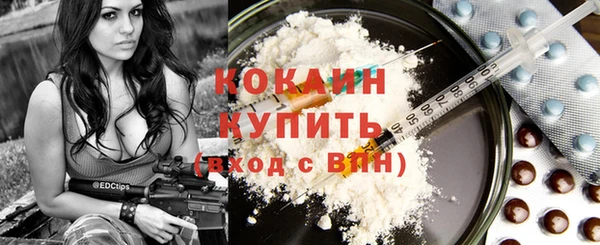 спайс Ельня