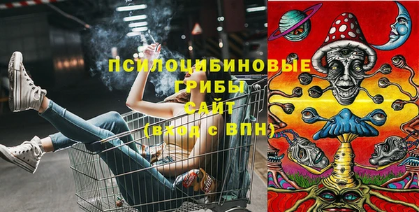 прущие крисы Елизово
