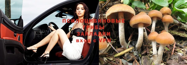 прущие крисы Елизово