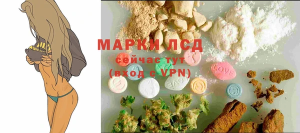 спайс Ельня