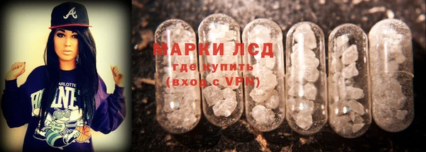 прущие крисы Елизово