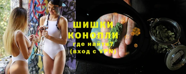 спайс Ельня