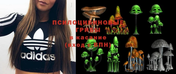 прущие крисы Елизово